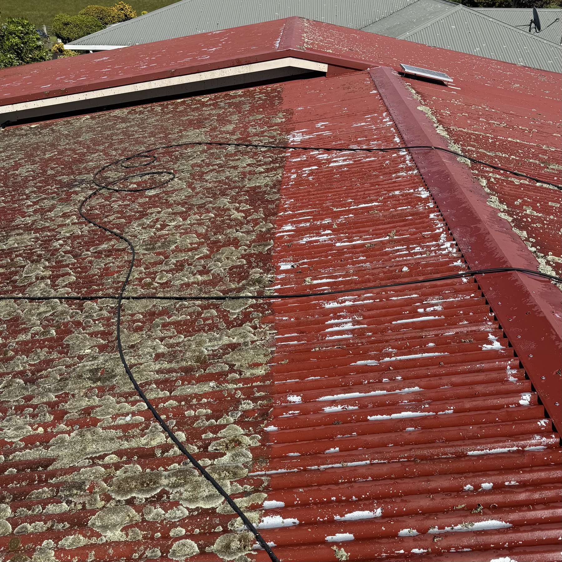 Heavily moss covered red tile roof before restoration